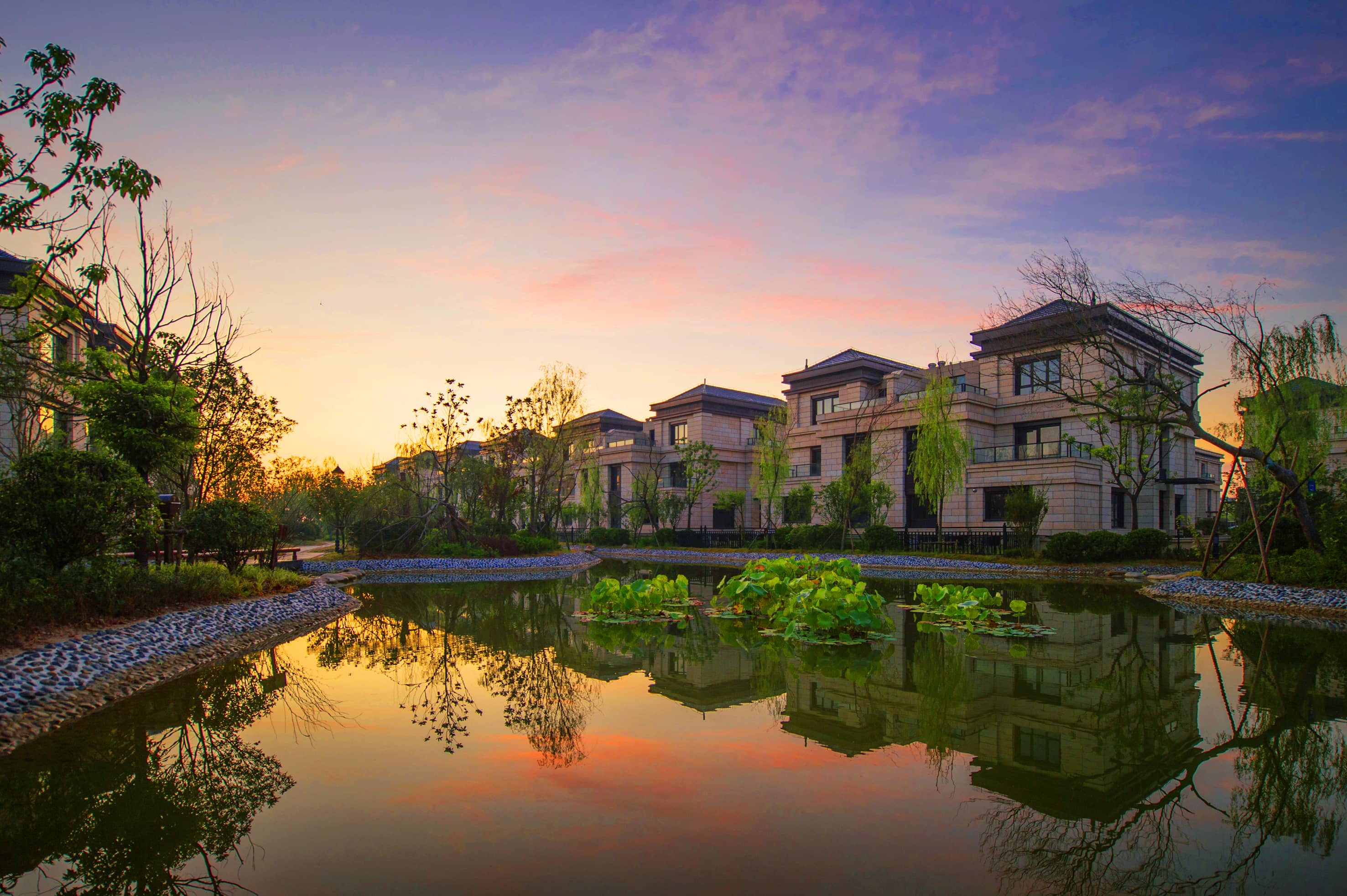 狗子28“十里香溪”项目1 (2)-tuya.jpg